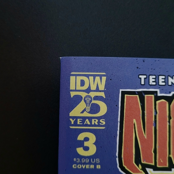 Teenage Mutant Ninja Turtles: Nightwatcher #3 - Picture 4 of 7